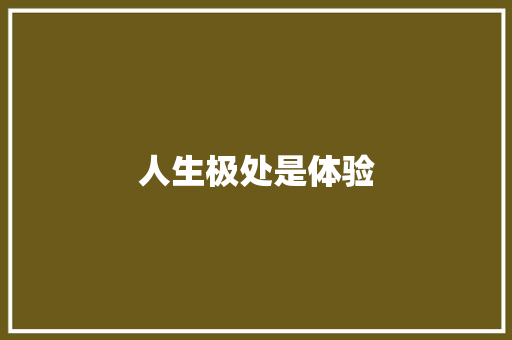 人生极处是体验