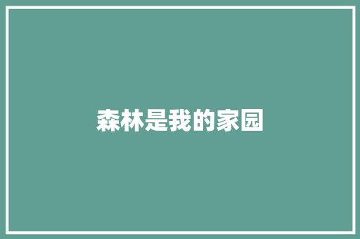 森林是我的家园