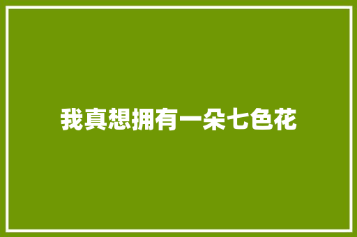 我真想拥有一朵七色花