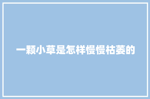 一颗小草是怎样慢慢枯萎的