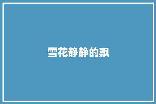 雪花静静的飘