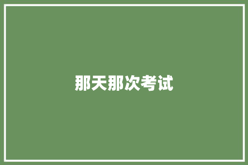 那天那次考试