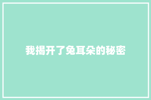 我揭开了兔耳朵的秘密