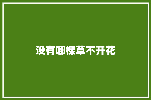 没有哪棵草不开花
