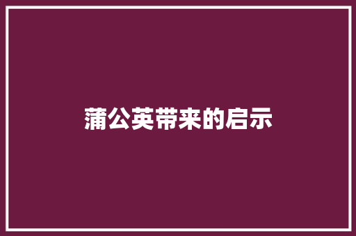 蒲公英带来的启示