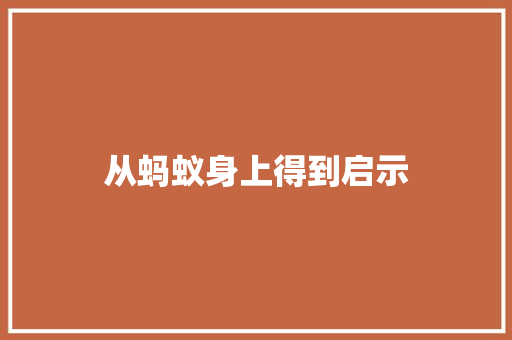 从蚂蚁身上得到启示