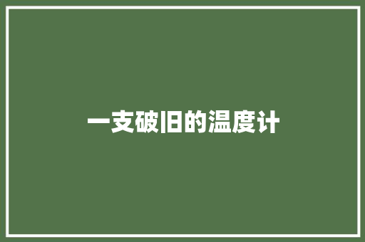 一支破旧的温度计