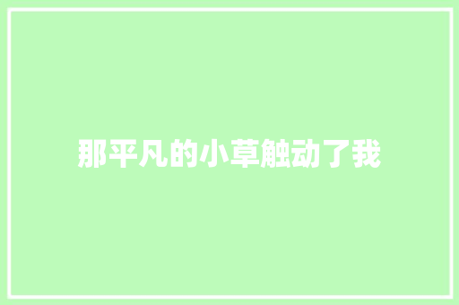 那平凡的小草触动了我