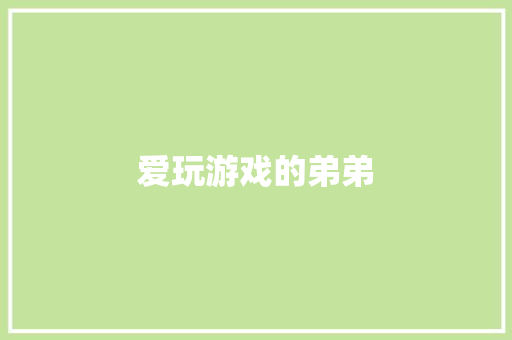爱玩游戏的弟弟