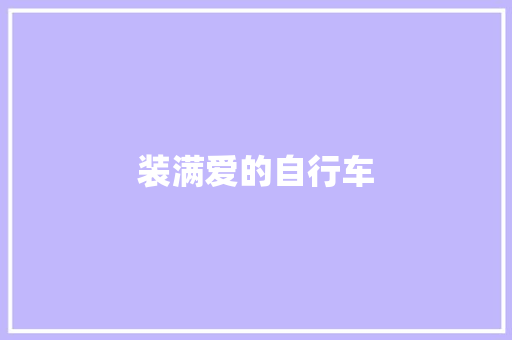 装满爱的自行车