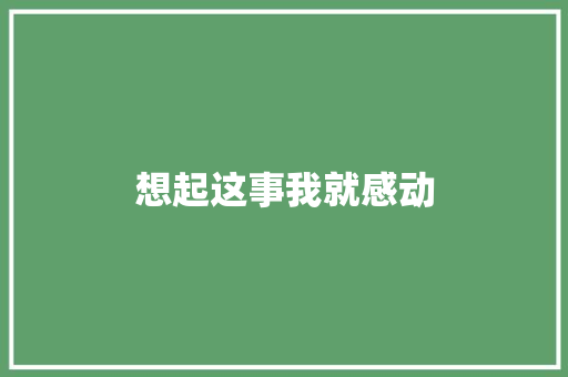 想起这事我就感动
