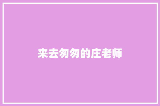 来去匆匆的庄老师