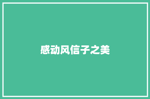 感动风信子之美