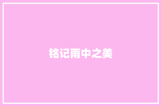铭记雨中之美