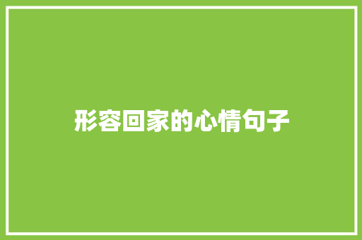 形容回家的心情句子