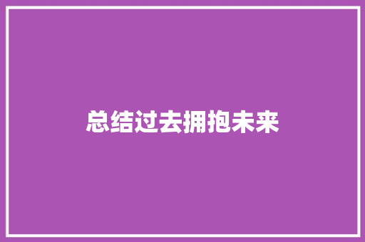 总结过去拥抱未来