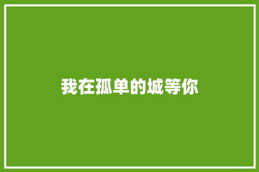我在孤单的城等你
