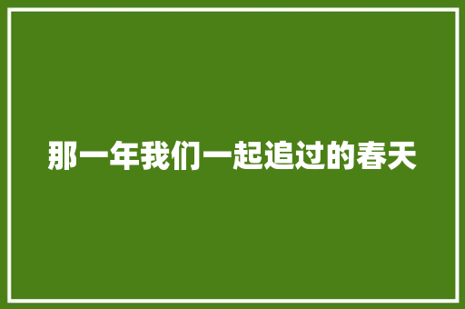 那一年我们一起追过的春天