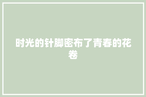 时光的针脚密布了青春的花卷