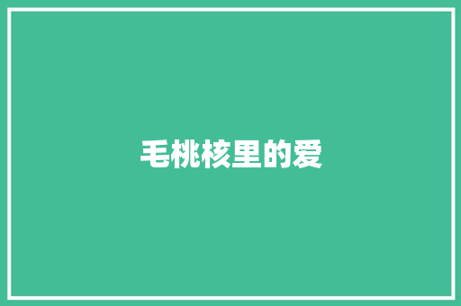 毛桃核里的爱