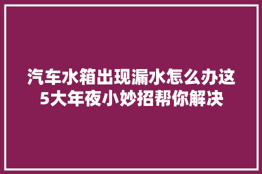 汽车水箱出现漏水怎么办这5大年夜小妙招帮你解决 汽车知识
