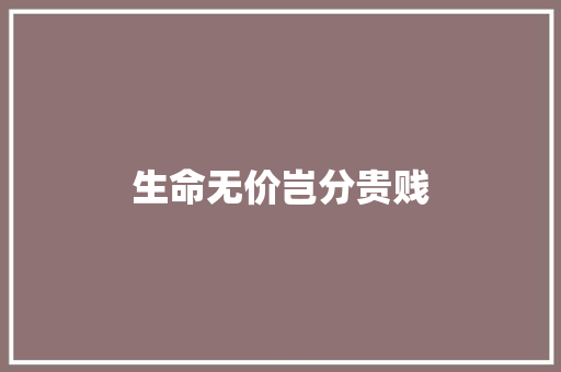 生命无价岂分贵贱
