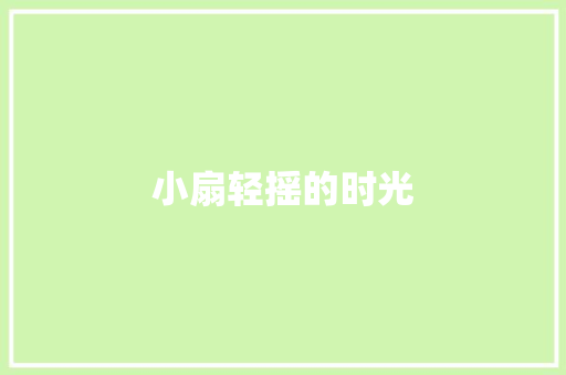 小扇轻摇的时光