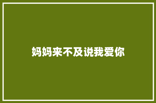 妈妈来不及说我爱你