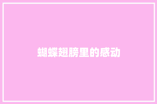 蝴蝶翅膀里的感动