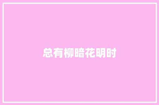 总有柳暗花明时
