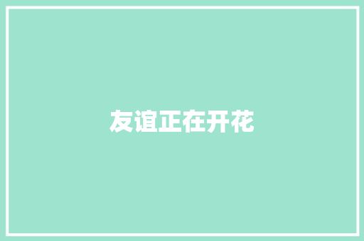 友谊正在开花