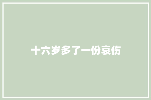 十六岁多了一份哀伤