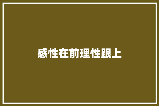 感性在前理性跟上