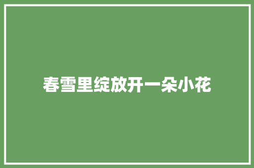 春雪里绽放开一朵小花