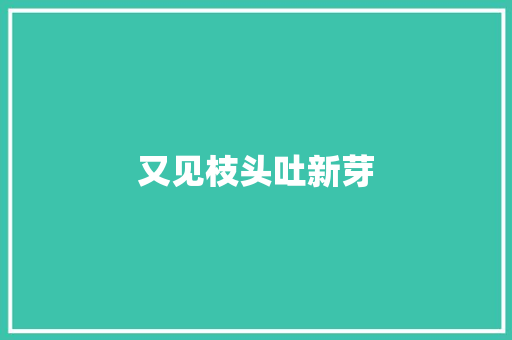 又见枝头吐新芽