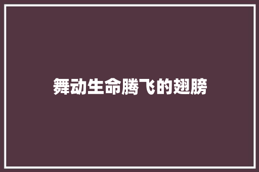 舞动生命腾飞的翅膀