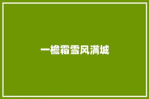一檐霜雪风满城