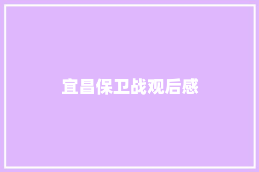 宜昌保卫战观后感