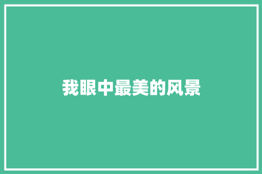 我眼中最美的风景