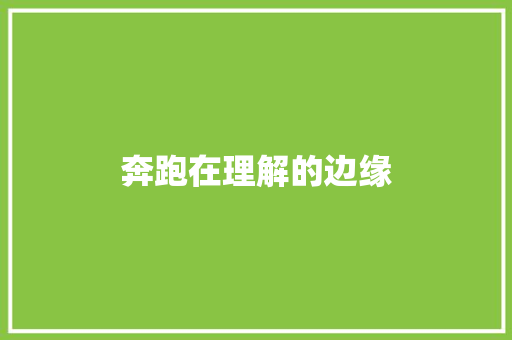 奔跑在理解的边缘