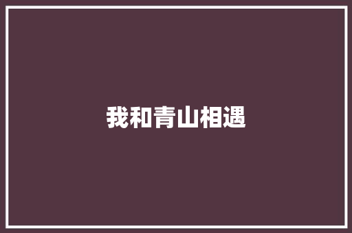 我和青山相遇