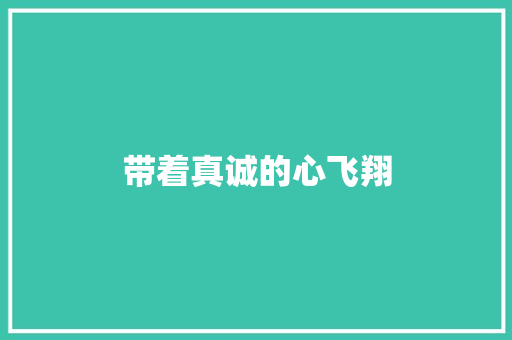 带着真诚的心飞翔
