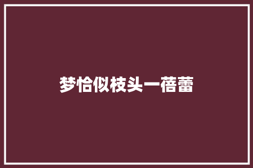 梦恰似枝头一蓓蕾