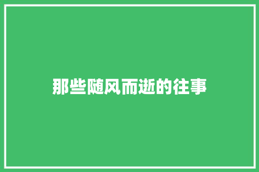 那些随风而逝的往事