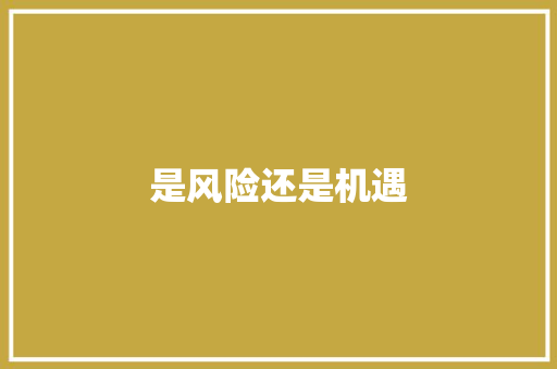 是风险还是机遇