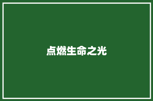 点燃生命之光