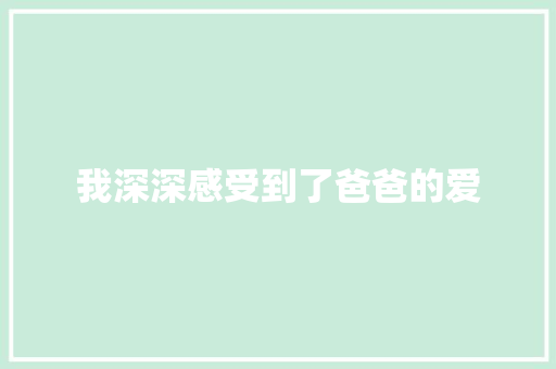 我深深感受到了爸爸的爱