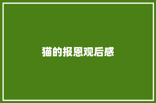 猫的报恩观后感