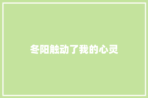 冬阳触动了我的心灵