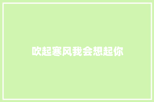 吹起寒风我会想起你